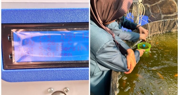 Inovasi Mahasiswa FTAB UB untuk UMKM Pantau Lele Lewat HP