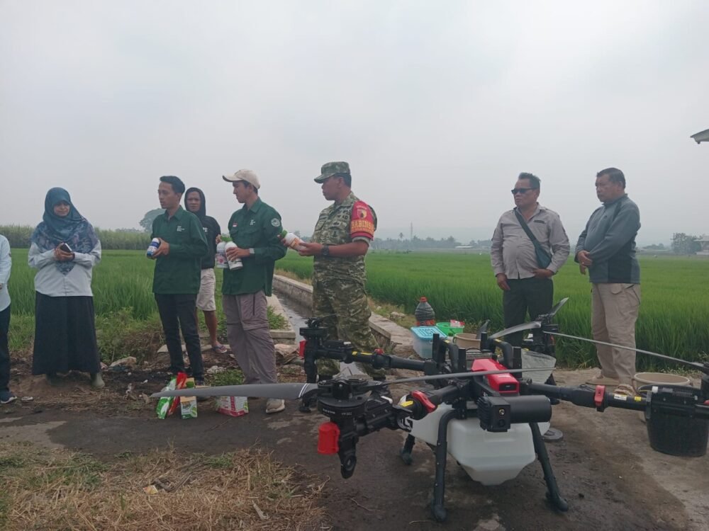 Babinsa Arjowinangun Dampingi Penyemprotan Padi dengan Drone