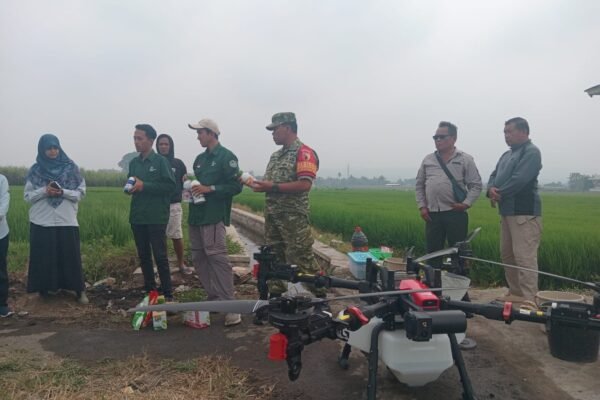 Babinsa Arjowinangun Dampingi Penyemprotan Padi dengan Drone