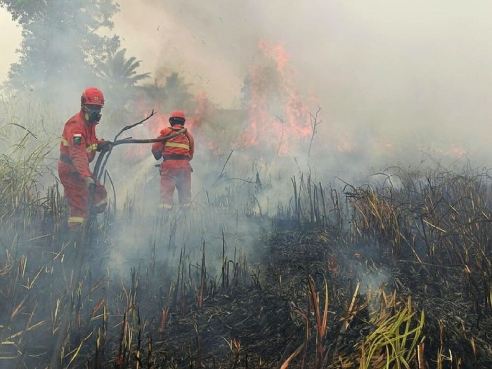 Karhutla Pemerintah Krisis Karhutla Dan Kegagalan Komunikasi Krisis: Ketika Pemerintah Sibuk Membela Diri