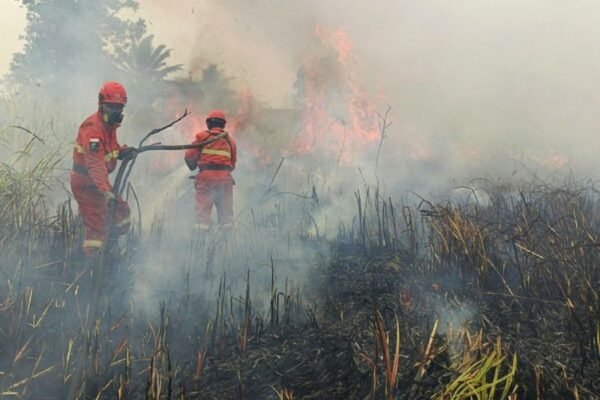 Krisis Karhutla Dan Kegagalan Komunikasi Krisis: Ketika Pemerintah Sibuk Membela Diri