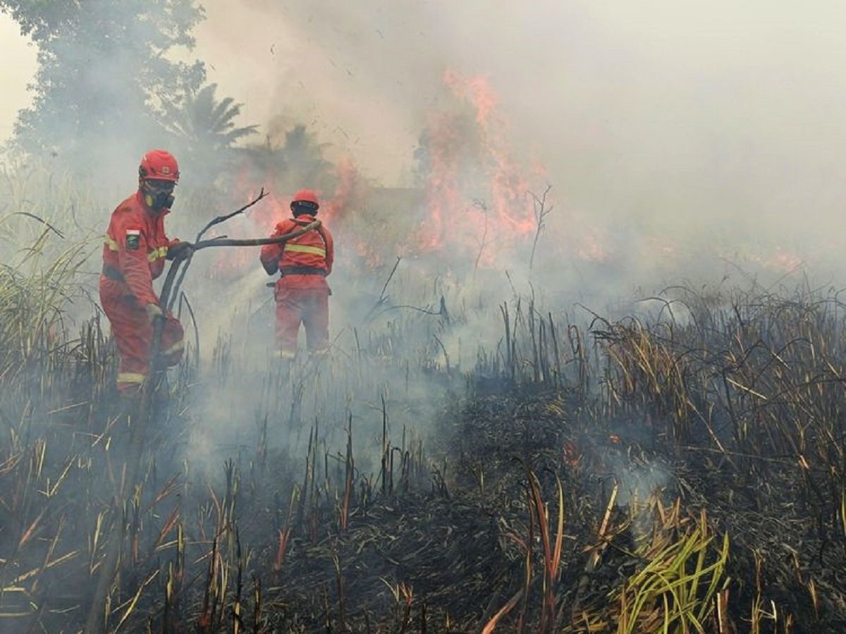 Karhutla Pemerintah Krisis Karhutla Dan Kegagalan Komunikasi Krisis: Ketika Pemerintah Sibuk Membela Diri
