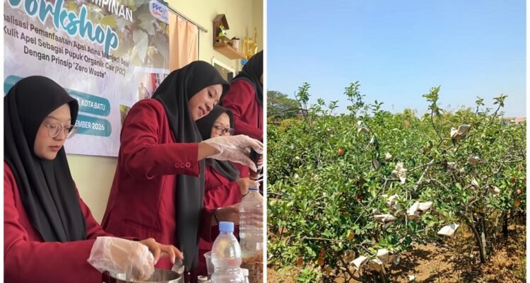 Usung Konsep Zero Waste, Mahasiswa PPG UMM Sulap Apel Anna Jadi Selai dan Pupuk Organik Cair di Desa Sumbergondo