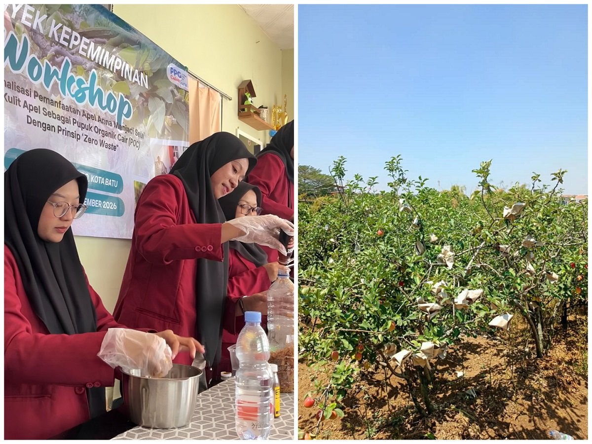 PPG PGSD UMM Apel Anna Usung Konsep Zero Waste, Mahasiswa PPG UMM Sulap Apel Anna Jadi Selai dan Pupuk Organik Cair di Desa Sumbergondo