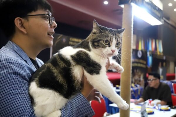 Pengunjung Dibuat Gemas dengan Ratusan Jenis Satwa di Prana Satwa Brawijaya 2026