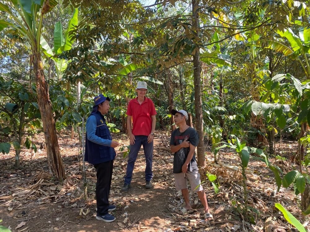 Kolaborasi Departemen Tanah FBiPK UB dan University of Goettingen, Jalin Penelitian Agroforestri Kopi