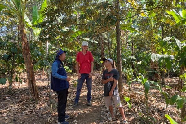 Kolaborasi Departemen Tanah FBiPK UB dan University of Goettingen, Jalin Penelitian Agroforestri Kopi