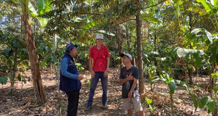 Kolaborasi Departemen Tanah FBiPK UB dan University of Goettingen, Jalin Penelitian Agroforestri Kopi